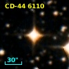 CD-44  6110