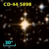 CD-44  5898