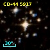 CD-44  5917