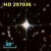 HD 297036