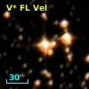 V* FL Vel