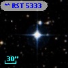 ** RST  5333
