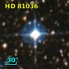 HD  81036