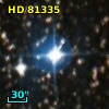 HD  81335