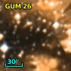 GUM 26
