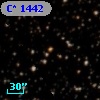 C* 1442