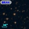 BRAN 240