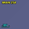 BRAN 258