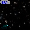 BRAN 264A