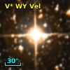 V* WY Vel