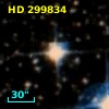 HD 299834