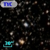 TYC 8583-741-1
