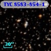 TYC 8583-854-1