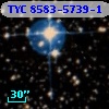 TYC 8583-5739-1