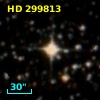 HD 299813
