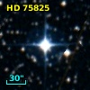 HD  75825