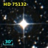 HD  75132