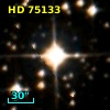 HD  75133