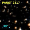 FAUST 2517