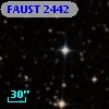 FAUST 2442