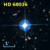 HD  68036