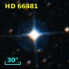 HD  66481