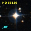HD  66136