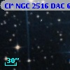 Cl* NGC 2516    DAC     613