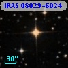 IRAS 08029-6024