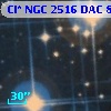 Cl* NGC 2516    DAC      85