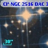 Cl* NGC 2516    DAC      36