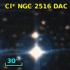 Cl* NGC 2516    DAC     230