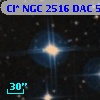 Cl* NGC 2516    DAC      55A