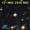 Cl* NGC 2516    DAC     226