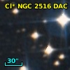 Cl* NGC 2516    DAC     413