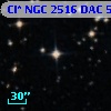 Cl* NGC 2516    DAC     524