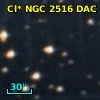 Cl* NGC 2516    DAC     667
