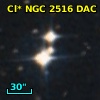 Cl* NGC 2516    DAC     919