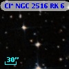 Cl* NGC 2516     RK       6