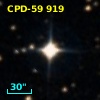 CPD-59   919