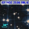 Cl* NGC 2516    SBL     636