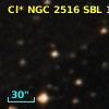 Cl* NGC 2516    SBL      13