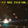 Cl* NGC 2516    SBL      20