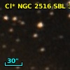 Cl* NGC 2516    SBL      35