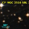 Cl* NGC 2516    SBL      37