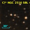 Cl* NGC 2516    SBL      43