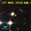 Cl* NGC 2516    SBL      47