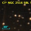 Cl* NGC 2516    SBL      51