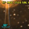 Cl* NGC 2516    SBL      61