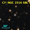 Cl* NGC 2516    SBL      66